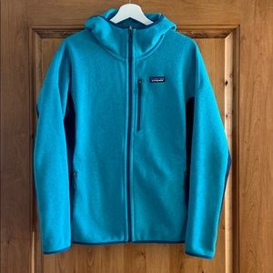 Patagonia Hooded Sweater Jacket